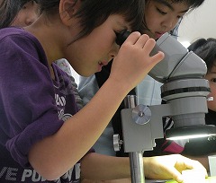 工場見学2